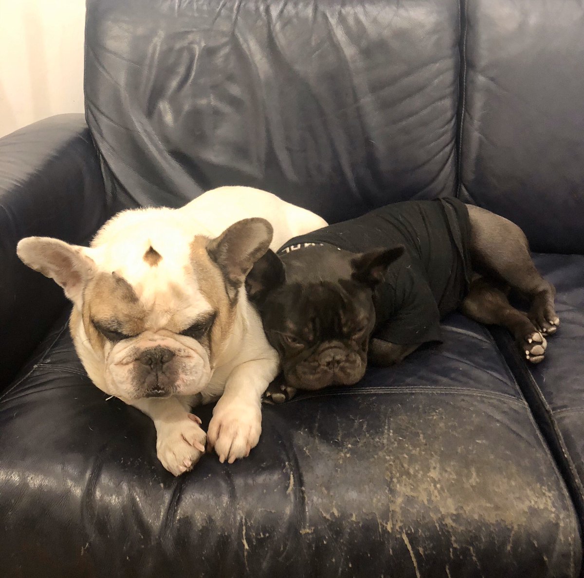 magdasawon tweet media