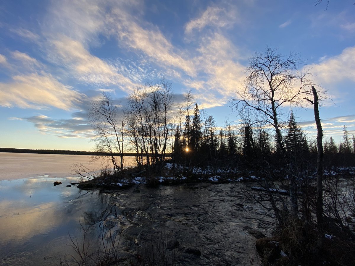ErikHainer's tweet photo. hi i'm in the arctic https://t.co/8GGEN2GMPk