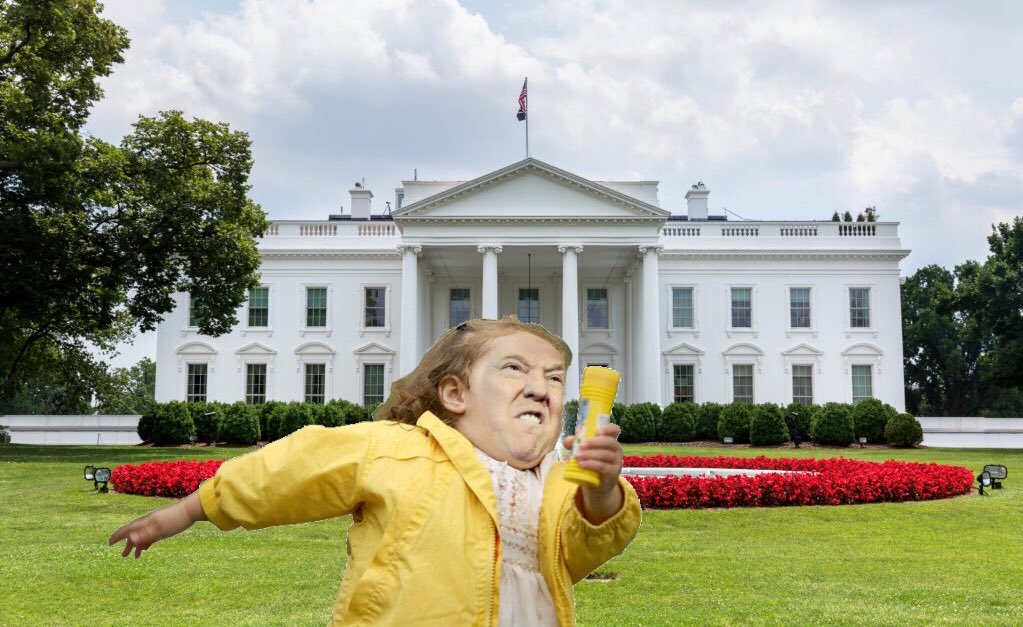 Skodza_'s tweet photo. Donald Trump qd on va lui demander de rendre les clés de la Maison Blanche #Elections2020 #ElectionResults2020 https://t.co/9B61zvHABL