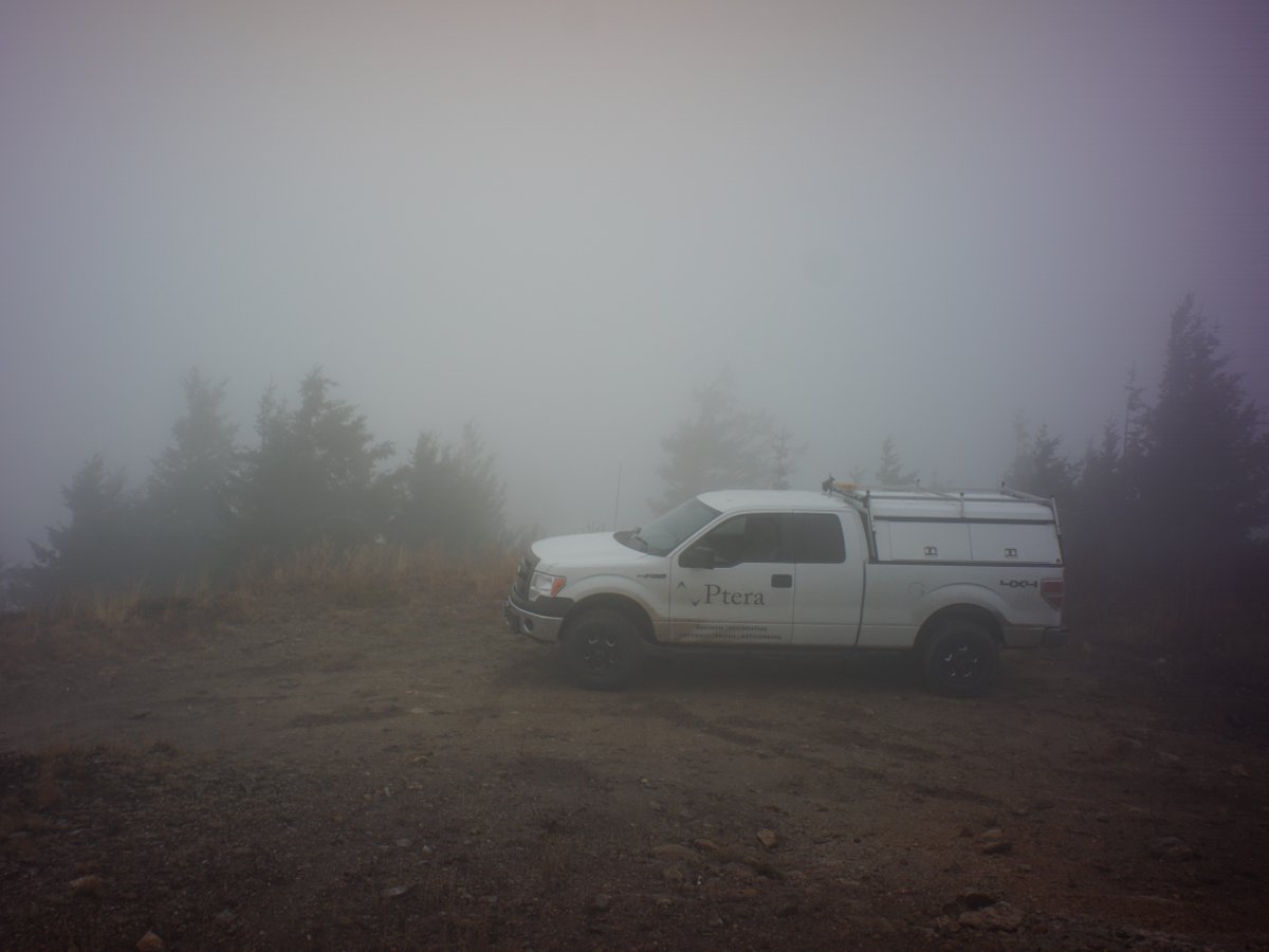 Ptera's tweet photo. Happy Foggy Friday to our Ptera friends! https://t.co/G7rtt7vvt0