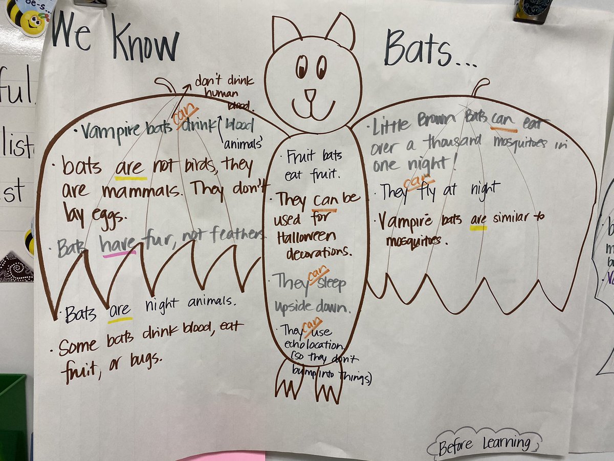 ACatilus's tweet photo. First graders have learned so much in our bat study!#DelMarHeights #funinfirst #MrsC https://t.co/nHoEBJDNcz
