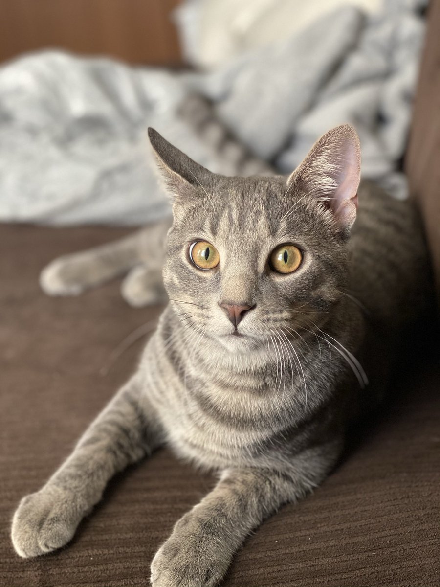 aust108's tweet photo. Handsome boy ❤️ https://t.co/TzNTRPaTHN