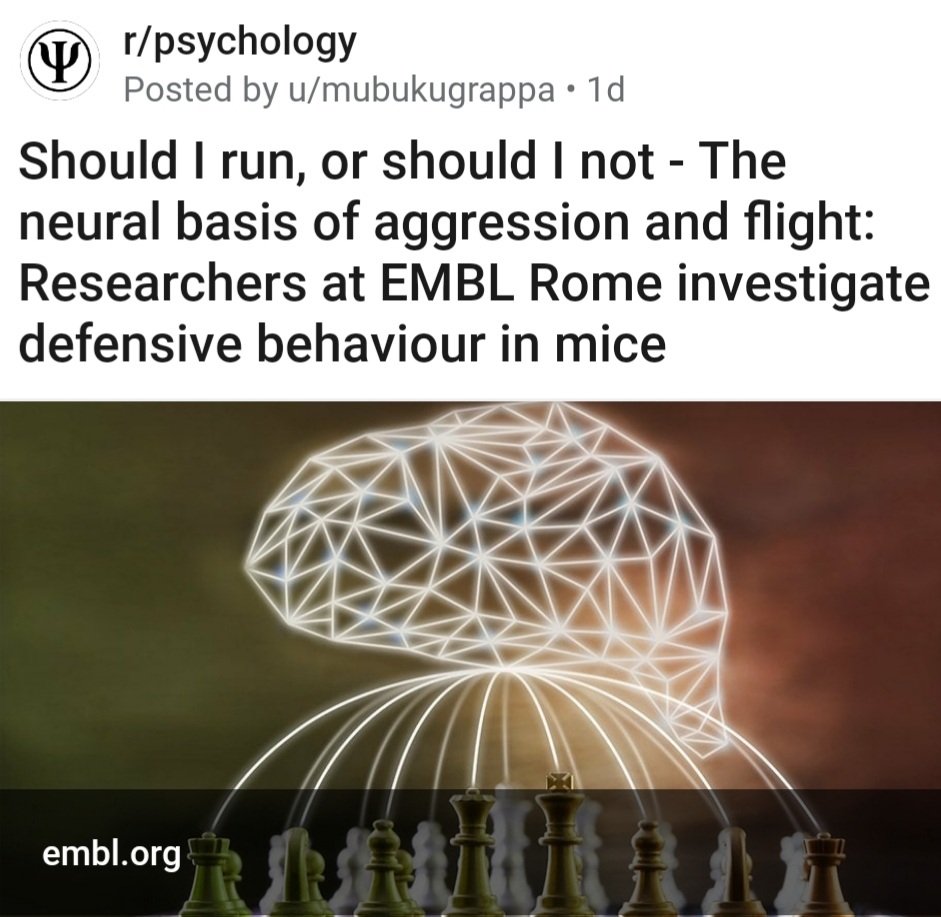 TanyaRathor9658's tweet photo. https://t.co/r2ptZeq92v
.
#neuropsychology #psychology #neuroscience #neurology #neuralbasis #aggression #flights #brainscience #defensivebehaviour #mice https://t.co/M61z12J5oO