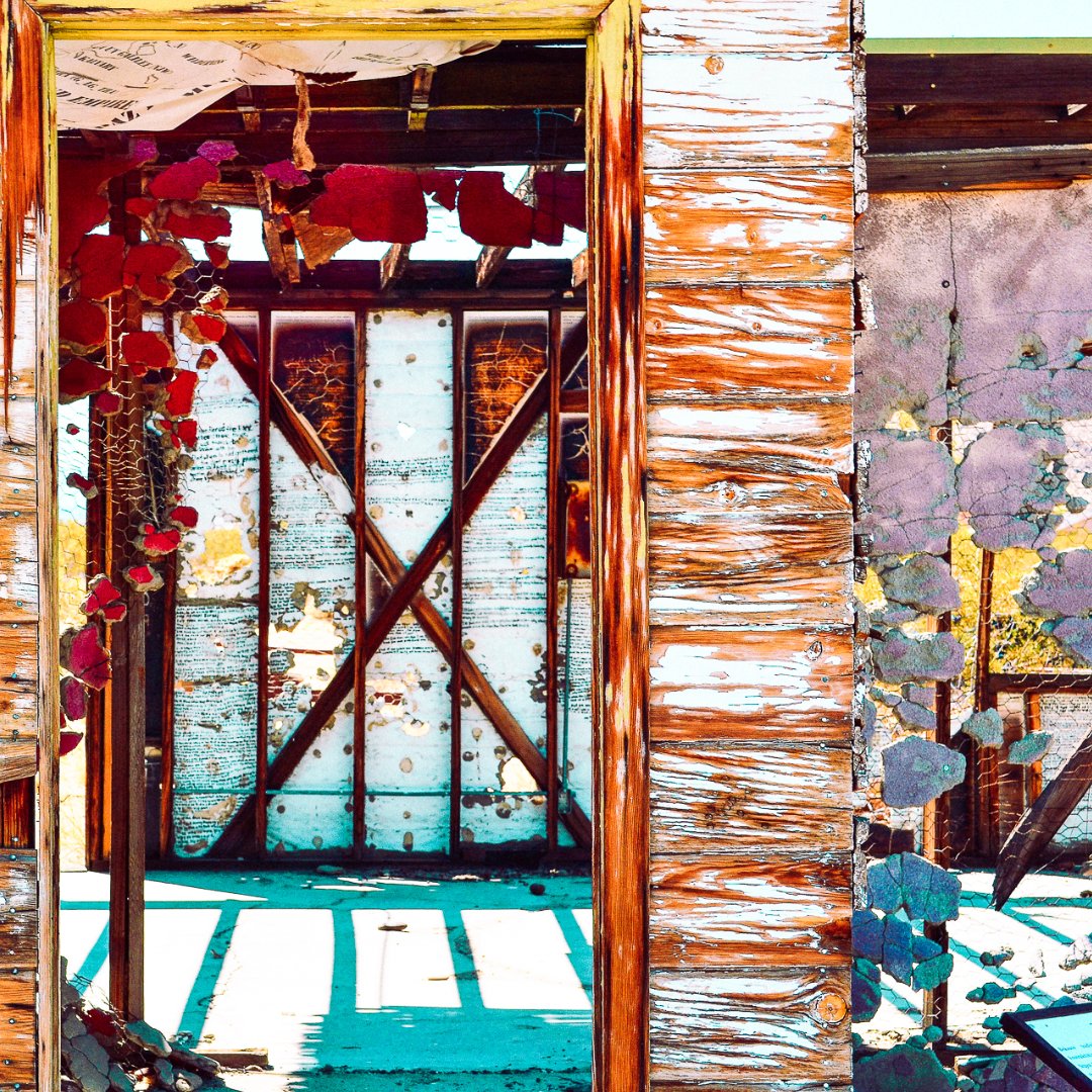 The Secret Tours - Joshua Tree tweet media