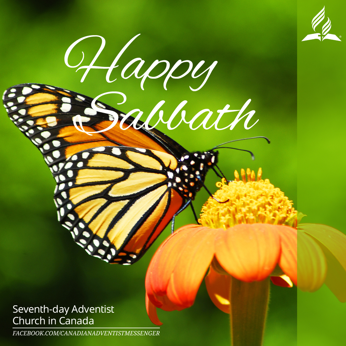 Adventist Messenger on Twitter:
