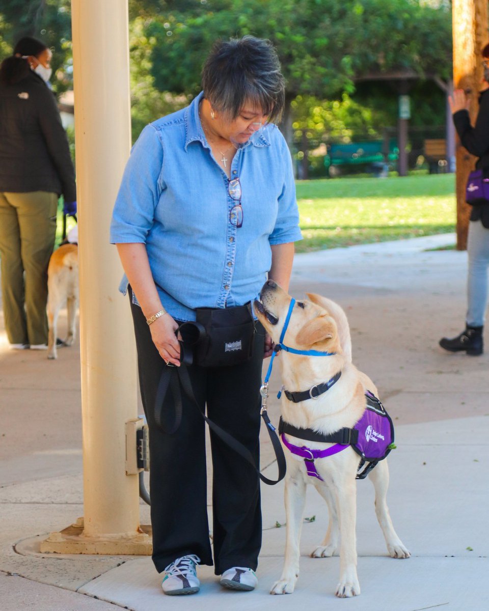 Guide Dogs of America | Tender Loving Canines tweet media