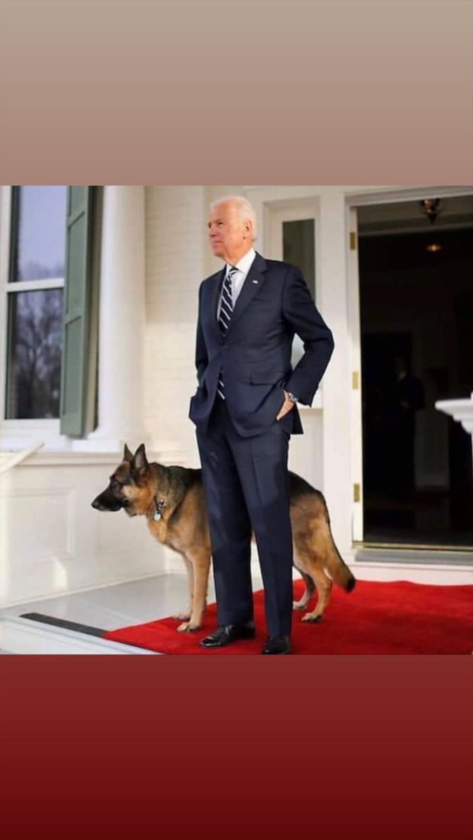 ThinkDi08919016's tweet photo. Now, I am president, so let's think about "how could I f**k world especially Middle East, more and more!!?
#usa #election2020 #election #president #DonaldTrump #Trump #biden #electionnight https://t.co/AnQIptZOu8