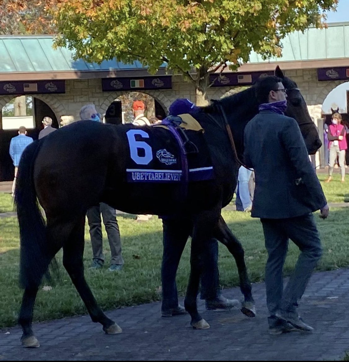 Great satisfaction when a plan comes together. What a run from Ubettabelieveit 3rd in @BreedersCup Juvenile Turf Sprint. Well done to Nigel and Kim Tinkler for taking a punt coming over and his owners Martin and Lisa Webb. @Intracingbureau @StablesFarm