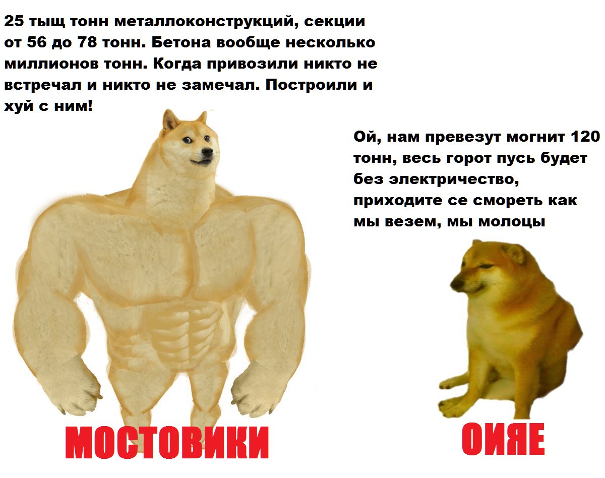 Устроили спектакль, дилетанты