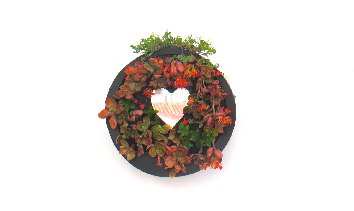 thebionicbook's tweet photo. BIONIC MIRROR - BIOART
#greenart by #artist #honevo #bionicmirror #bioart #thebionicbook #sustainable #heart #galactic #design https://t.co/Ad8W6blStp