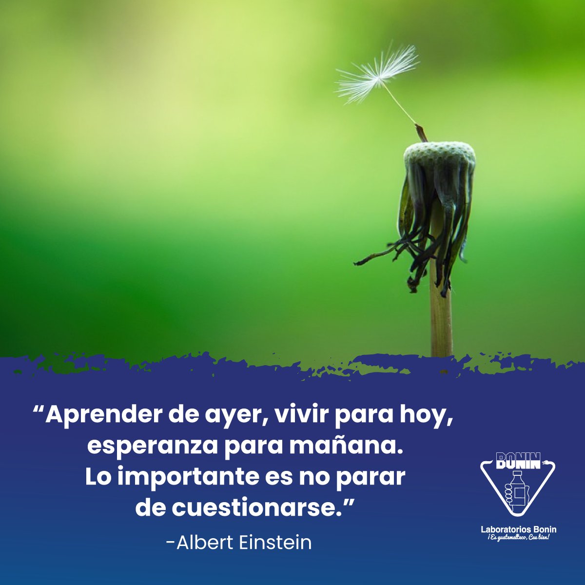 LabBoninGt's tweet photo. Deseamos que tengas un feliz descanso.
#LaboratoriosBonin 
#EsGuatemaltecoCaeBien
#JuntosPorGuatemala https://t.co/XjCcFsoAOq