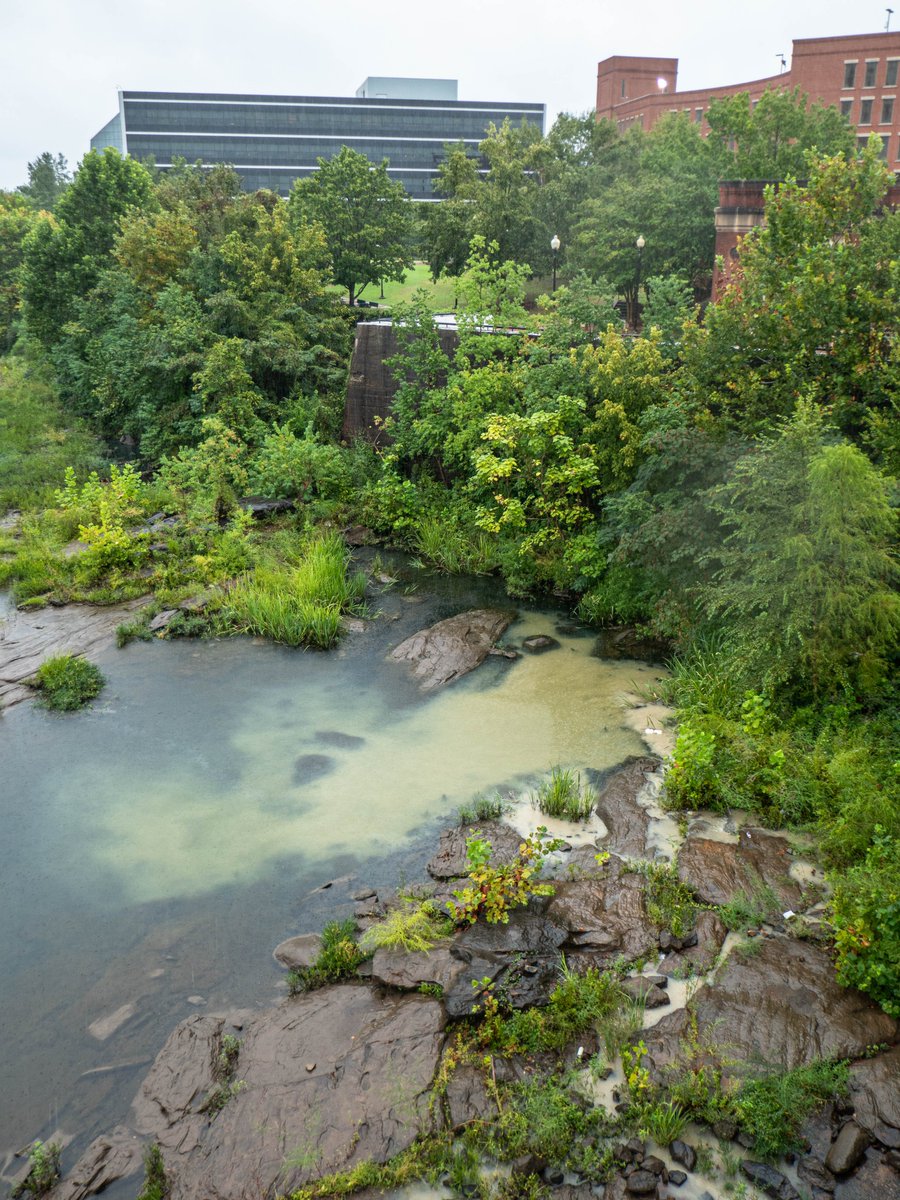 CRKeeper's tweet photo. Water doesn't stop at city lines. If there's a problem in one part of our watershed, it can affect us all. When it rains, sewage can flow into the Chattahoochee in Columbus, GA. Demand stronger protections for this portion of the river by emailing EPD at https://t.co/gMR0kjdAkz. https://t.co/J0CDsxmKXn