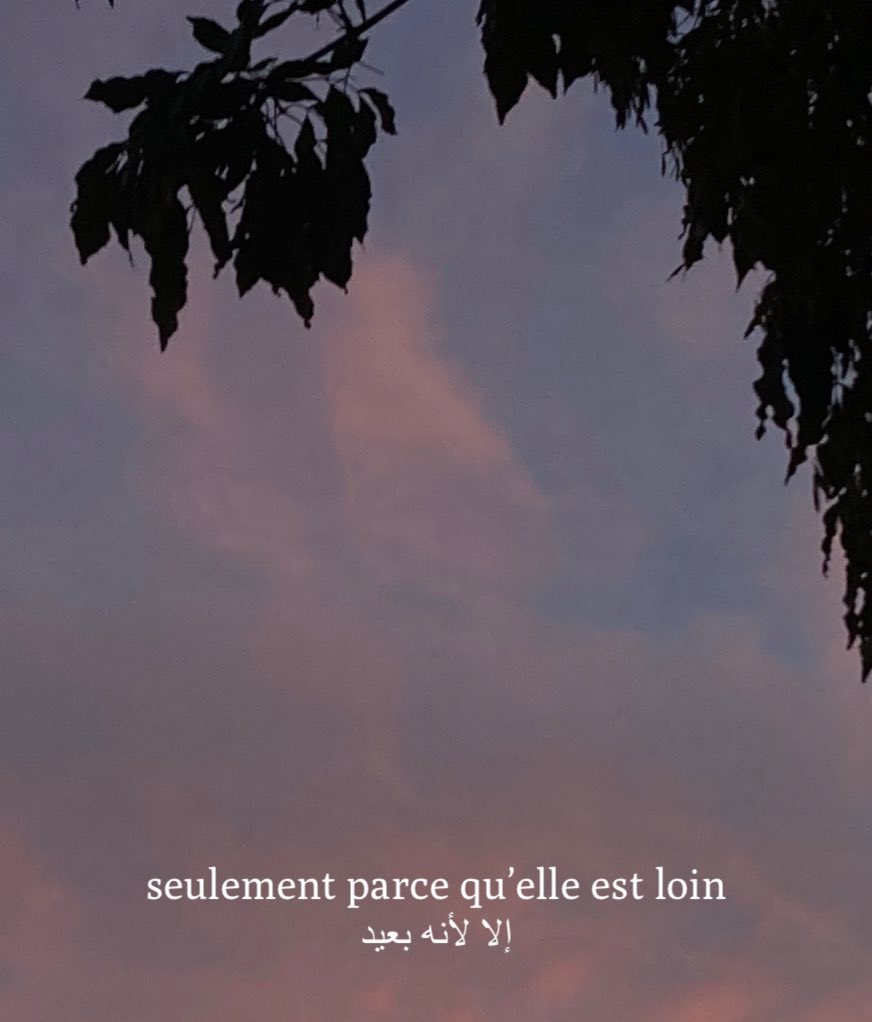 - محمود درويش