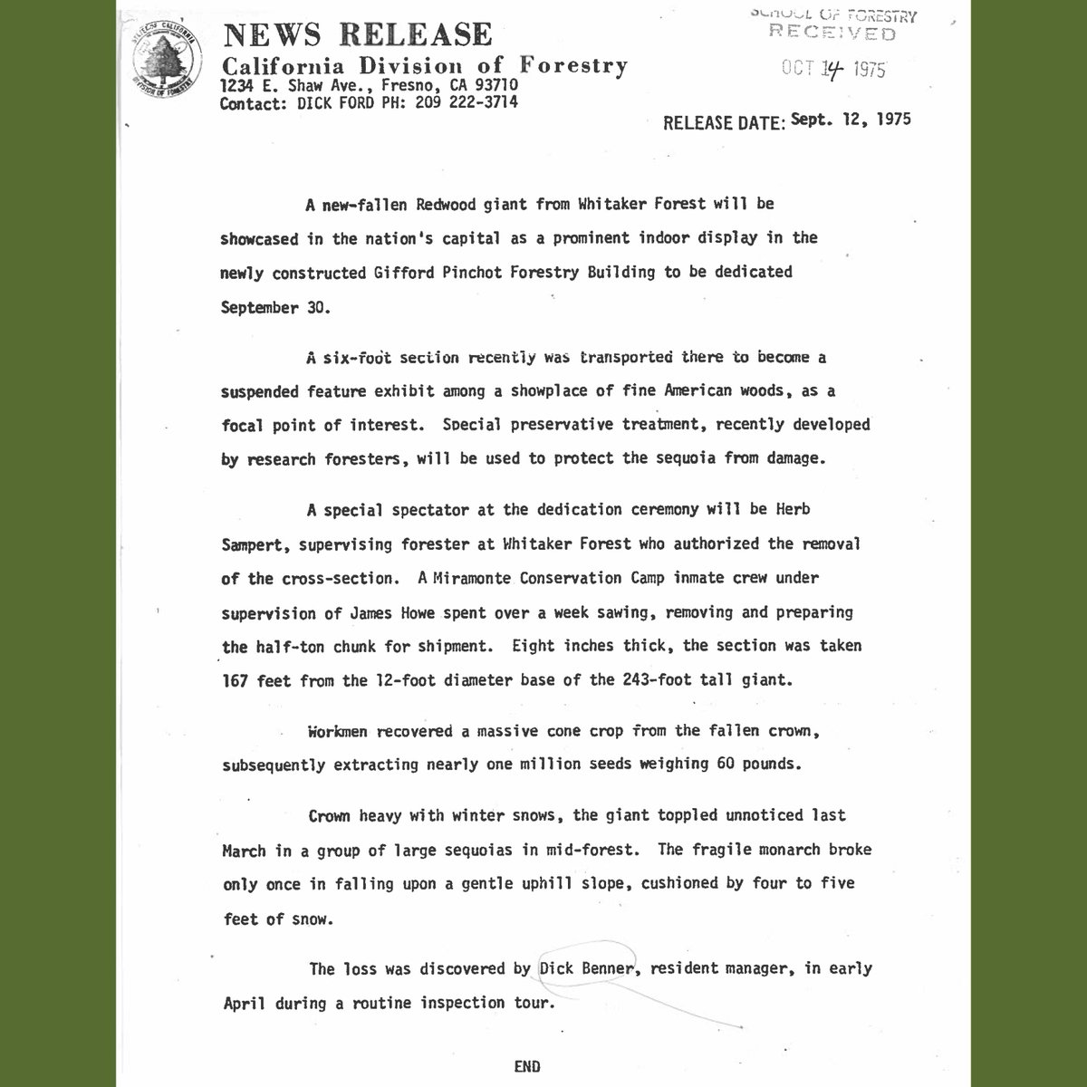 foresters's tweet photo. As SAF moved its headquarters to Washington, DC from Bethesda, MD, we brought history with us! The 6-ft wide Redwood tree cookie has its own story to tell. The press release (1975) & photos show how HUGE this piece of history is in height & significance. #FBF #CASAF @SafCeo https://t.co/gZ7XwrFKio