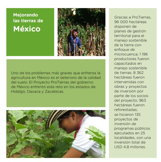 FAOMexico's tweet photo. La @FAO y el Fondo para el Medio Ambiente Mundial @theGEF : Mejorando las tierras de #México.
🇲🇽 Gracias a #ProTierras, 96 000 hectáreas disponen de planes de gestión territorial para el manejo sostenible de la tierra.
📗➡️https://t.co/AltFYHaKb7 https://t.co/bxwVLSJGtN