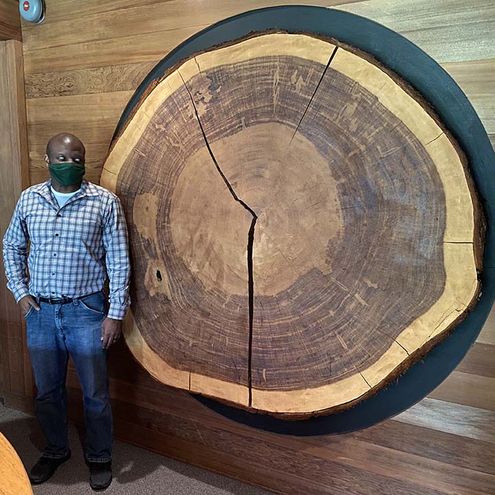 foresters's tweet photo. As SAF moved its headquarters to Washington, DC from Bethesda, MD, we brought history with us! The 6-ft wide Redwood tree cookie has its own story to tell. The press release (1975) & photos show how HUGE this piece of history is in height & significance. #FBF #CASAF @SafCeo https://t.co/gZ7XwrFKio