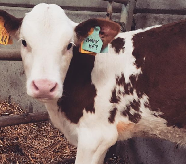 Farmers Guardian tweet media