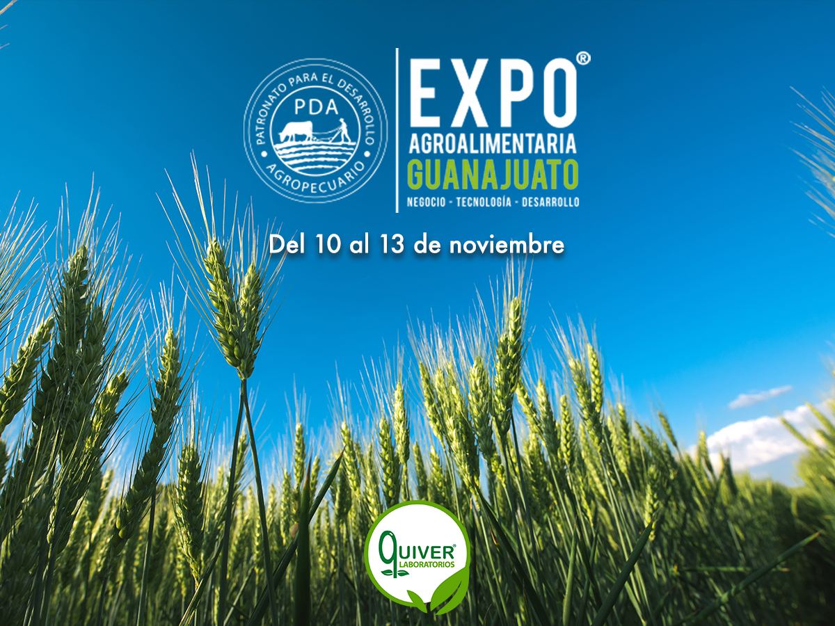 LabQuiver's tweet photo. ¡Les compartimos que estaremos presente en la @expoagro_gto a realizarse del 10 al 13 de noviembre del presente año! 🙌

#LaboratoriosQuiver 🌱 #ExpoAgroalimentaria #Guanajuato https://t.co/3vXwzptgky