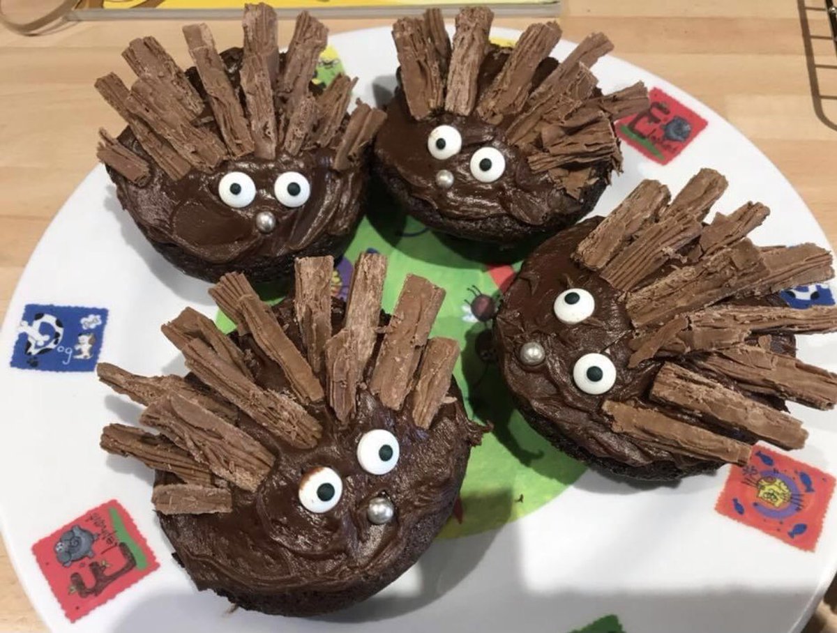 LouiseLawford's tweet photo. Hedgehog cupcakes made with my son Perry #ExtraSlice https://t.co/puQaq9axw9