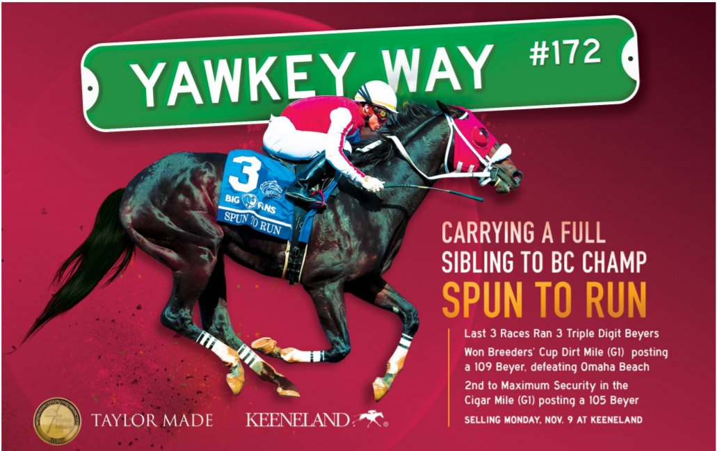 theTDN's tweet photo. Don't miss hip #172 offered by @TaylorMadeSales at @keeneland November. She's carrying a full sibling to @BreedersCup champ Spun to Run. https://t.co/fUOzUA0cIg
