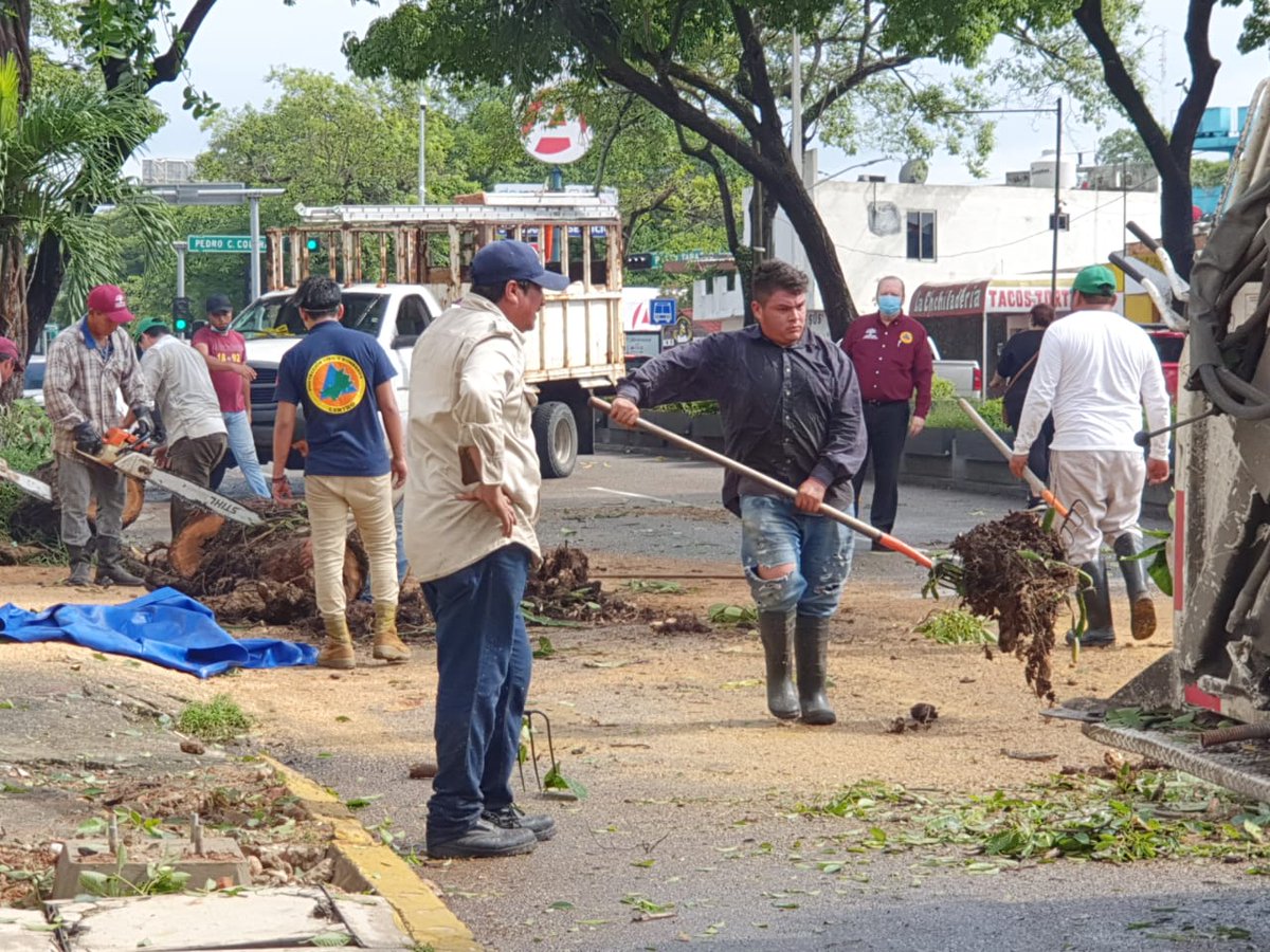 CentroCPCM's tweet photo. Se acudió a quitar un árbol caído sobre la AV. Paseo Tabasco,dónde tambien participo Bomberos del Estado,SSPC y Protección  Civil y Bomberos centro,quedando ya la vialidad liberada para transitarla.
@EvaristoHdzCruz 
@OficialCentro 
@JARGPC 
@ProcivilTabasco 
@SSPCTabasco https://t.co/xQb0NJIE7y
