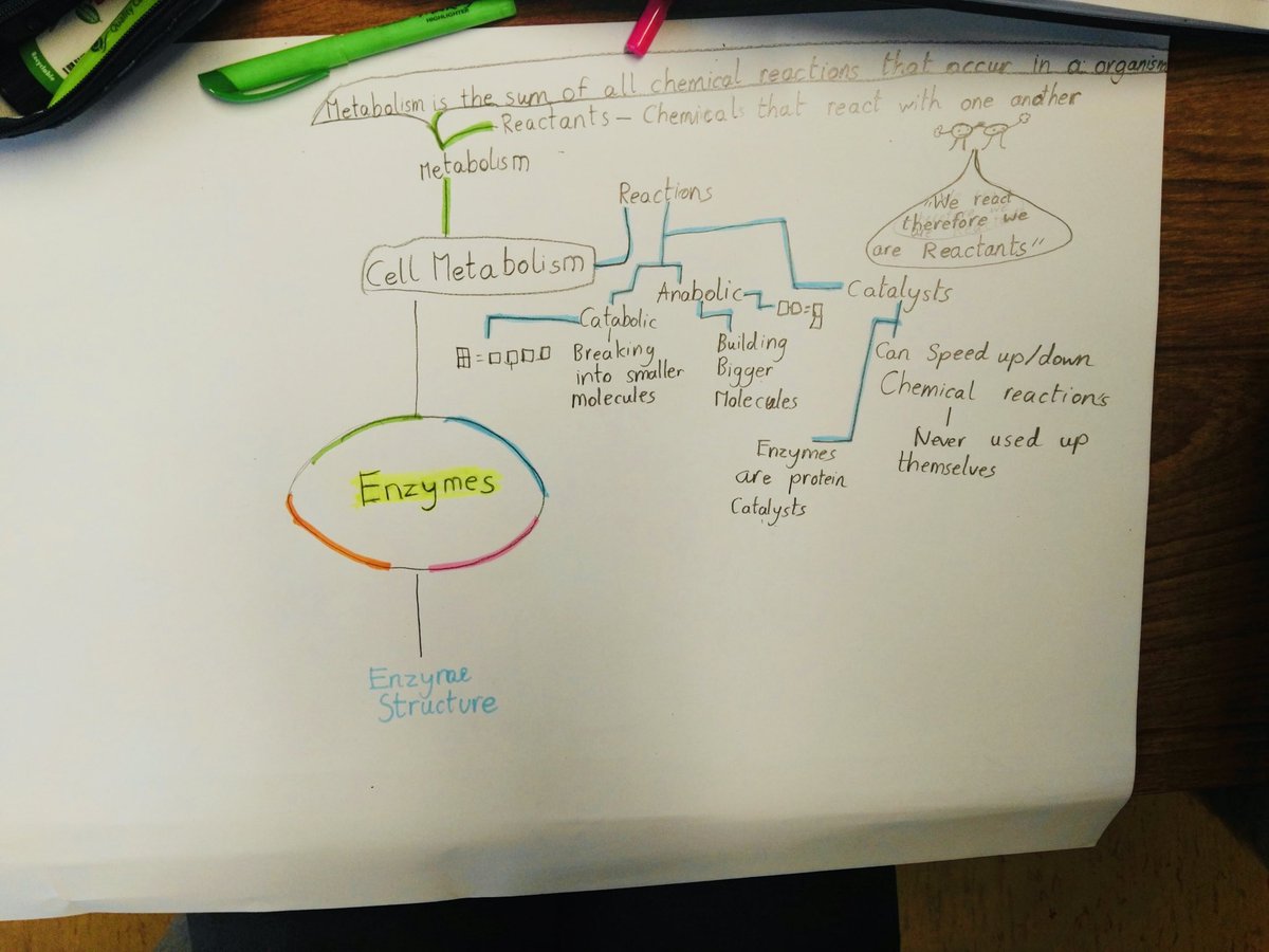 MulroyCollege's tweet photo. Excellence in Teaching & Learning in Mulroy College ππ
Check out these mind maps created by our 5th year Biology students following their study of Enzymes π¬π¬
#WeAreDonegalETB #excellenceinteachingandlearning #gratitude https://t.co/iCP7WyKCOC