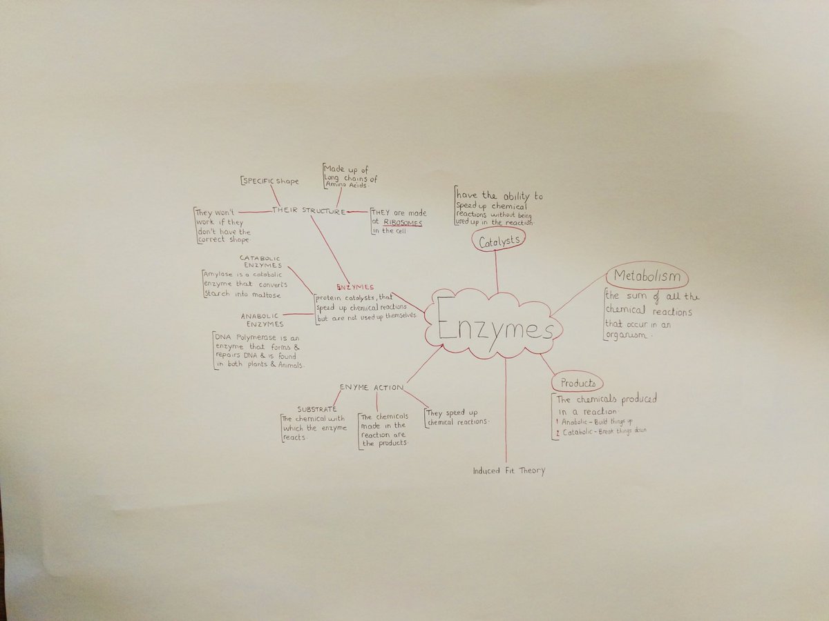 MulroyCollege's tweet photo. Excellence in Teaching & Learning in Mulroy College ππ
Check out these mind maps created by our 5th year Biology students following their study of Enzymes π¬π¬
#WeAreDonegalETB #excellenceinteachingandlearning #gratitude https://t.co/iCP7WyKCOC