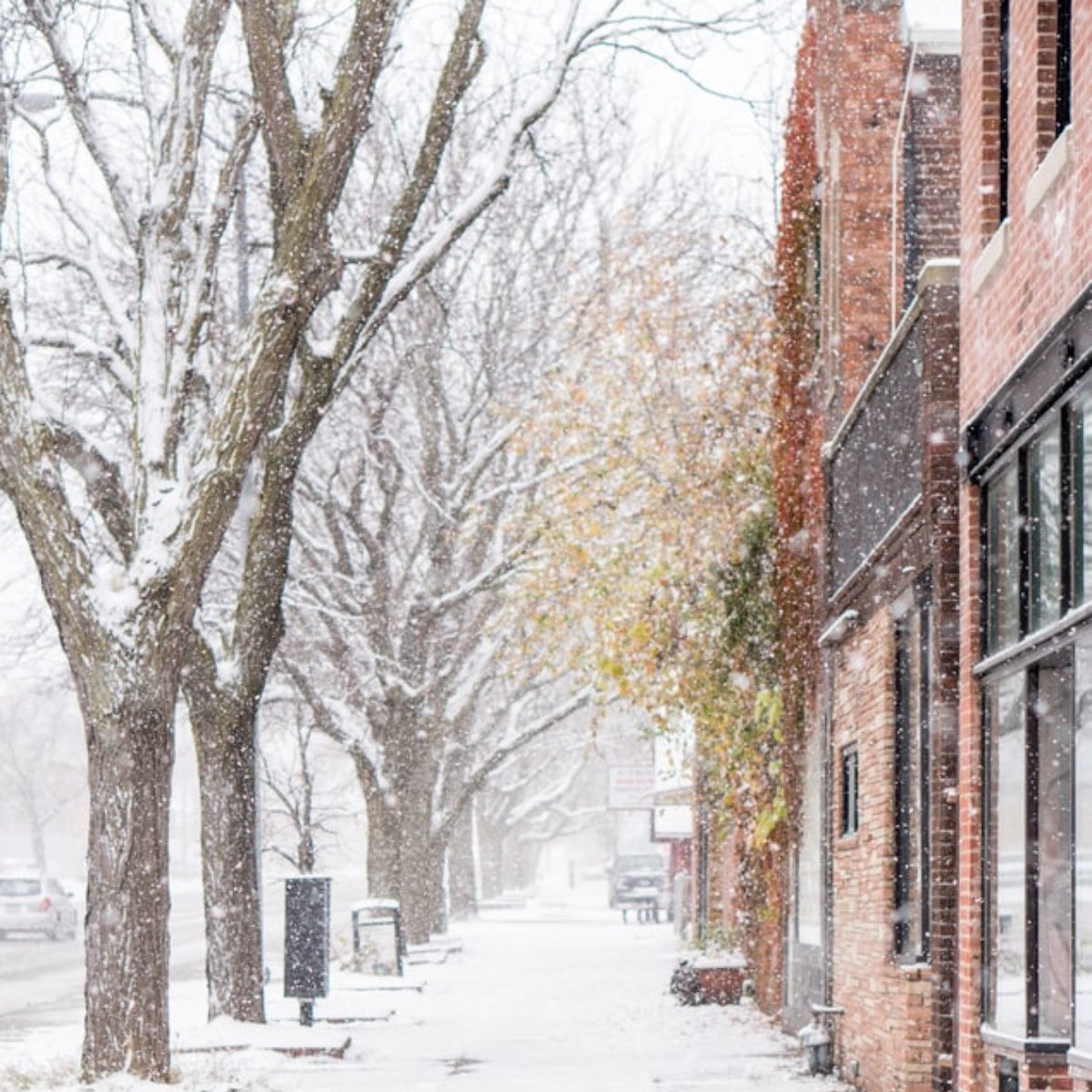 Toddmccubbin's tweet photo. Are you gearing up for your first big-time winter? Check out these tips from veteran Northerners on how to tackle the frost: https://t.co/kRuaxgvshE. https://t.co/qW87XK9SRM