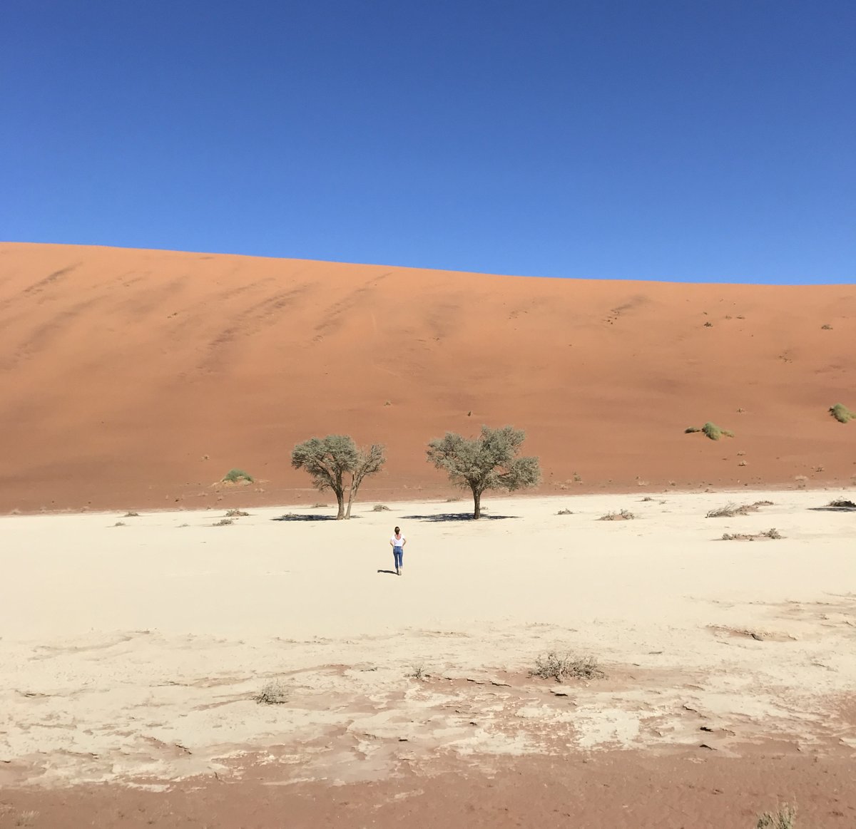 luciesydney's tweet photo. #5countrieschallenge ๐ (Enfin 4 ๐) Difficile de choisir mais voici un top des pays qui mรฉritent le dรฉtour ๐ณ๐ฆ ๐ฐ๐ท ๐ฎ๐ธ ๐ณ๐ต #travel #travelphotography #travelblogger https://t.co/lz9cfhLIhM