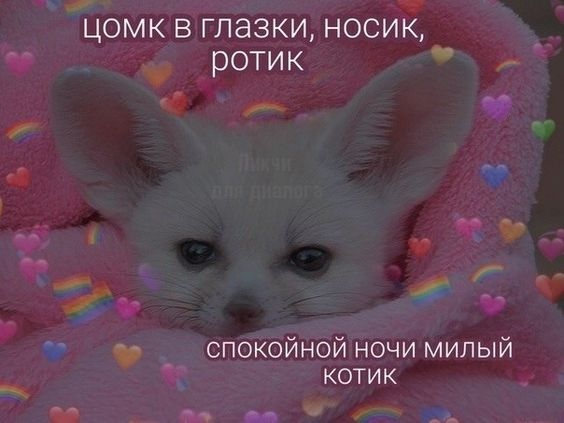 nessamissesyou's tweet photo. Время уже позднее😴
Ложитесь скорее спать, чтобы хорошенько выспаться и набраться сил! Завтра успеете вдоволь отдохнуть и заняться собой и своими делами💗 https://t.co/GJ2jagSuxN