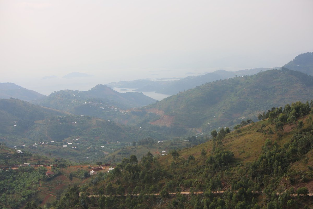 Mubuga sector is located in Karongi District in the Western Province of Rwanda. 

#OrganicCoffee #BioCoffee #CoffeeLovers #RwandanCoffee #AfricanCoffee #VisitRwanda #Rwanda