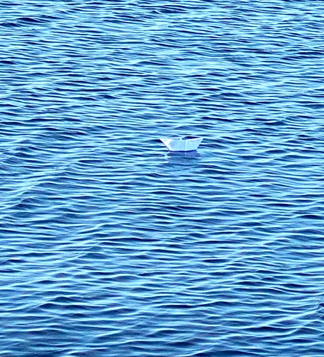 Zaynab71990's tweet image. ~

Nobody ever taught me 
how to make paper boats, but..

When I make 
my paper boat set sail, 

it always takes me to the place
 I want to go ... You ...