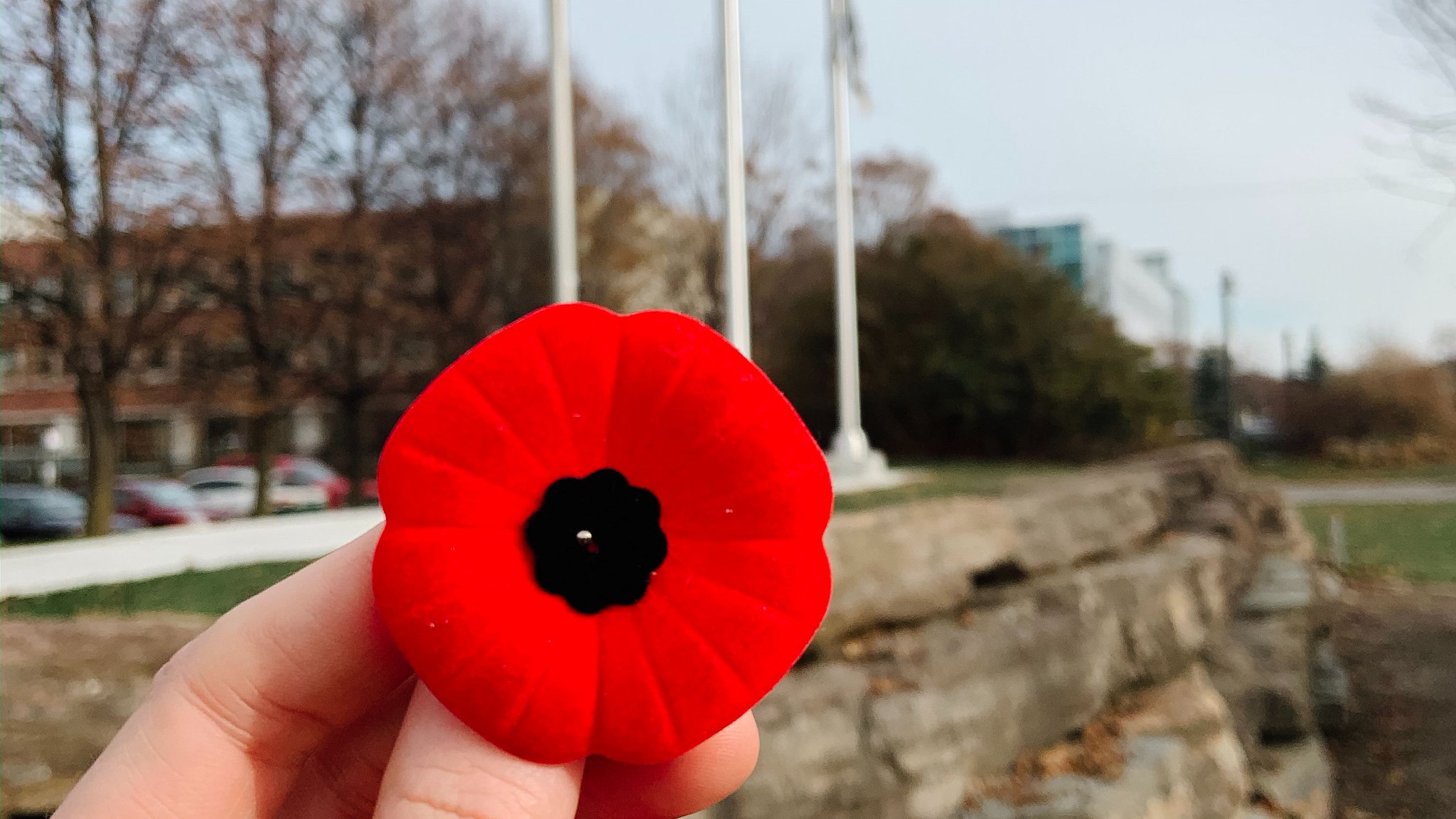 Poppy Boxeuse Algonquin College Campus Services on Twitter: