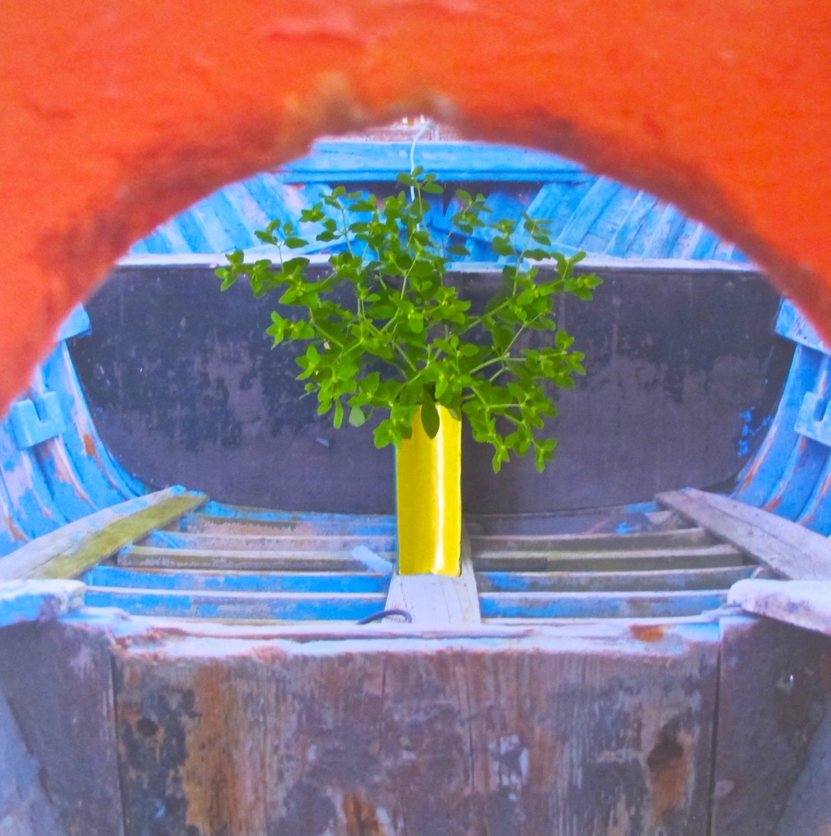 culturamos's tweet photo. FOTOGRAFIA BIONICA - EL MUNDO UTOPICO DE HONEVO
https://t.co/EMGTdIXAjE #bionicphoto #fotografiabionica #bioarte el #mundo #utopico de #honevo #culturamos https://t.co/zD6SR9HviW