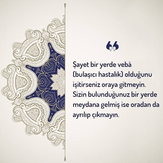 hanigo8's tweet photo. ##sbütıponlineistiyor #sbütıpmağdur 
@drfahrettinkoca @SaglikKulturSpr @iletisim @sbuedutr @tipsbu @Cevdet_Erdol @halis_aygun @YuksekogretimK @Dr_K_Aydin @oktaybanli @profecetinkaya @dribrahimtopcu @drkerem @AtesAtesKara @DrSerdarSavas https://t.co/MPjQWeejpU