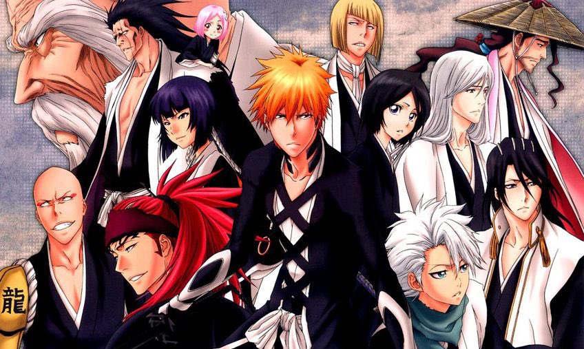 #9. Soul Society’s side of things during the 17 months Rukia didn’t see Ichigo 106 votes (7.5%)