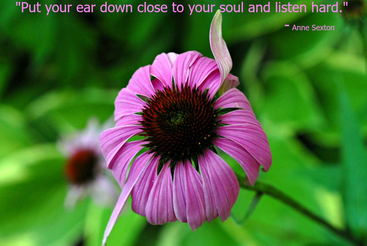 LWattles's tweet photo. Give yourself permission to listen to your soul . . . to do the things you love, to be the person you want to be . . . 

https://t.co/NXXuMCt2DC https://t.co/MgOqI3WX7c
