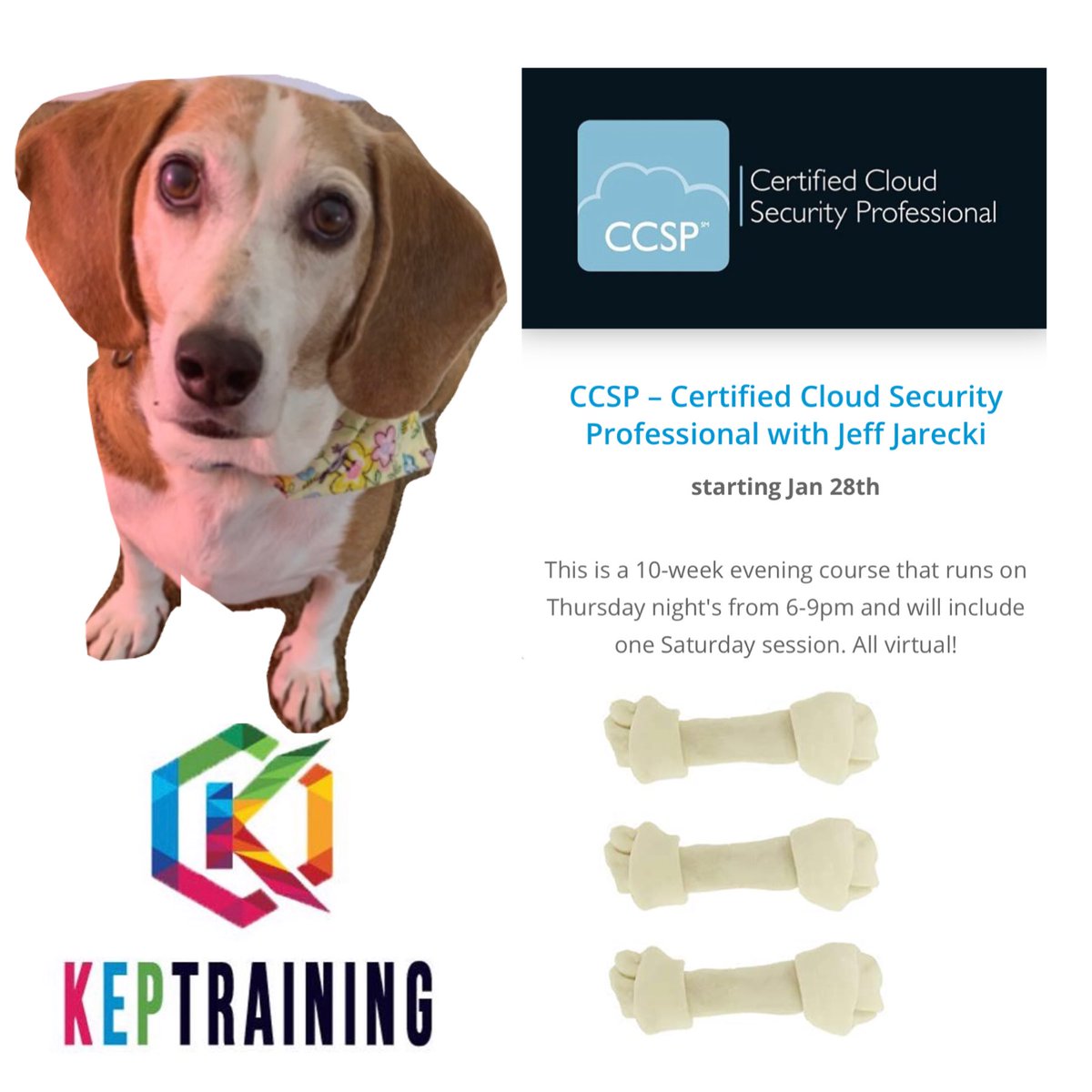 KEPTraining's tweet photo. Make no bones about it....we’ve got three spots left in our Certified Cloud Security Professional class beginning on 1/28/2021 for the special price of $695!!!  Don’t wait...register today!! https://t.co/hQGF7WE9Gi #keptraining #kepcyber #ccsp  @AnnaKepshire https://t.co/iK4rSLJgRV