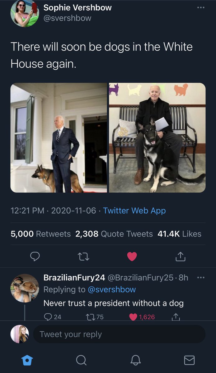 JacquelineJanas's tweet image. AGREED!
@svershbow @BrazilianFury25 
#dogsknow #whodoesntlovedogs