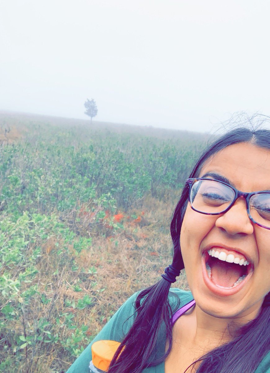 JadeTaylorB's tweet photo. How excited can one gal be over a great botany find!? This excited! //agalinis maritima // #marshgirl https://t.co/yTtLF76xgb