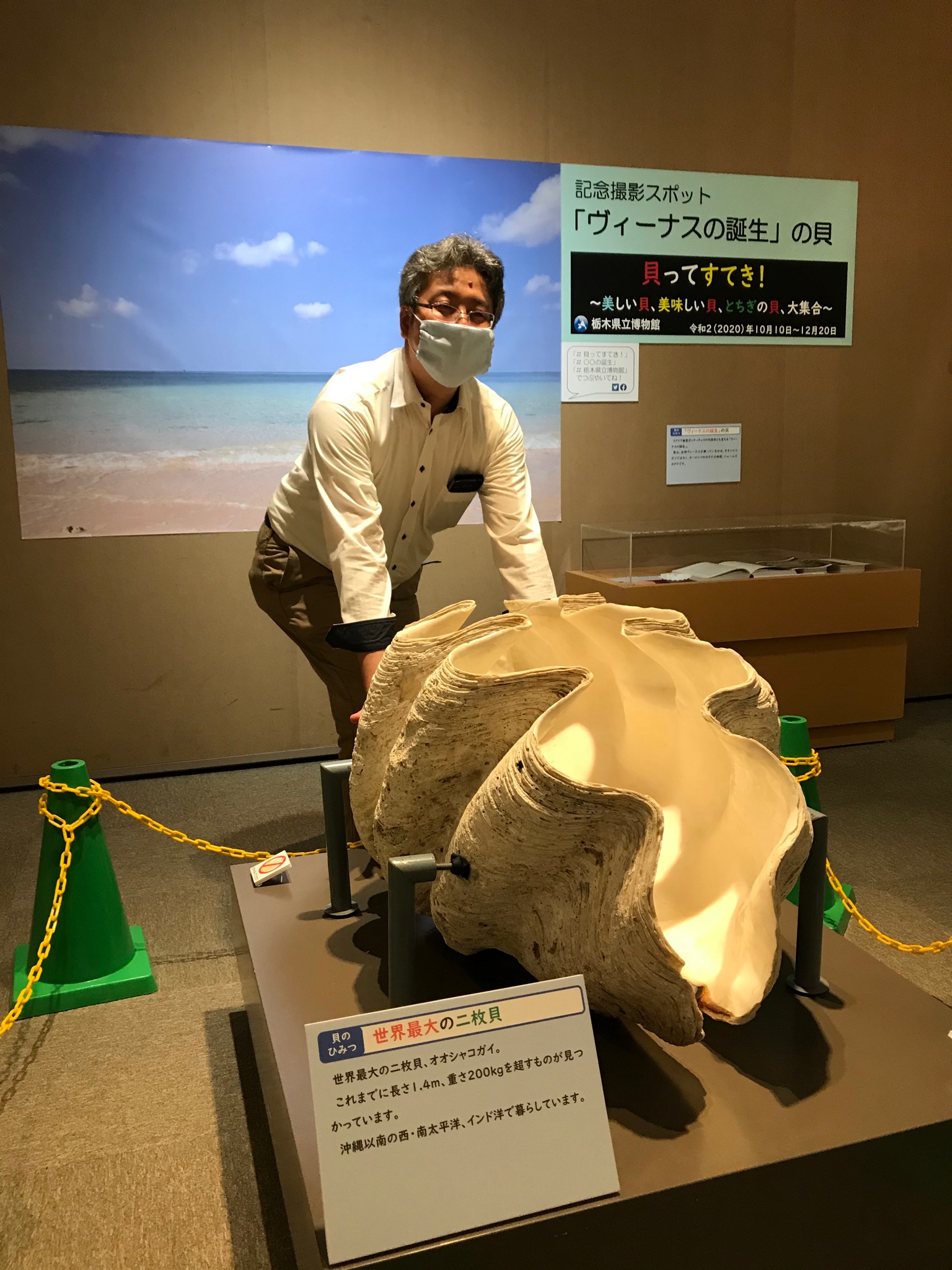 栃木県立博物館 企画展 貝ってすてき のフォトスポットご利用ありがとうございます 親子連れ 大人同士を問わず写真を撮る様子が見られて嬉しい限りです みなさまの画像アップ 新しい撮り方も楽しみにしていまーす C 栃木県立博物館 栃木県立博物館 企画展 貝ってすてき のフォトスポットご利用ありがとうございます 親子連れ 大人同士を問わず写真を撮る様子が見られて嬉しい限りです みなさまの画像アップ 新しい撮り方も楽しみにしていまーす C 栃木県立博物館