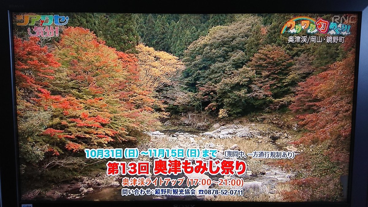 奥津もみじ祭り 奥津もみじ祭り