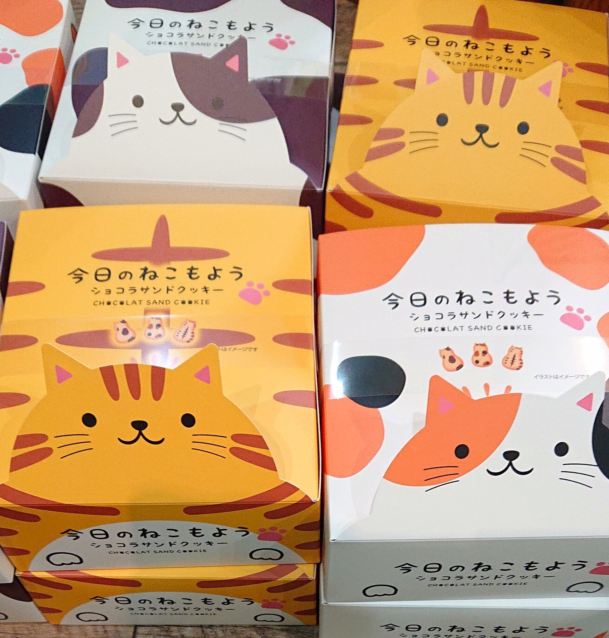 Necoco 猫のショコラサンドクッキー 今日のねこもよう しばらく売り切れておりましたが また入荷いたしました おやつに ギフトに人気です 厚みのある少し大きめのクッキー 型抜きして遊びながら美味しく食べられます どの箱にもクッキー3柄