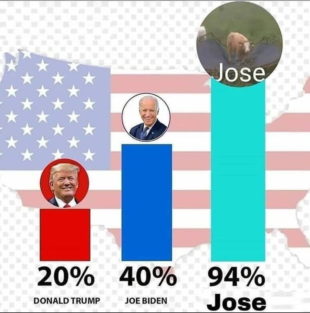 albertoalvesgar's tweet photo. #voteforJose https://t.co/pdzuGlpd9L