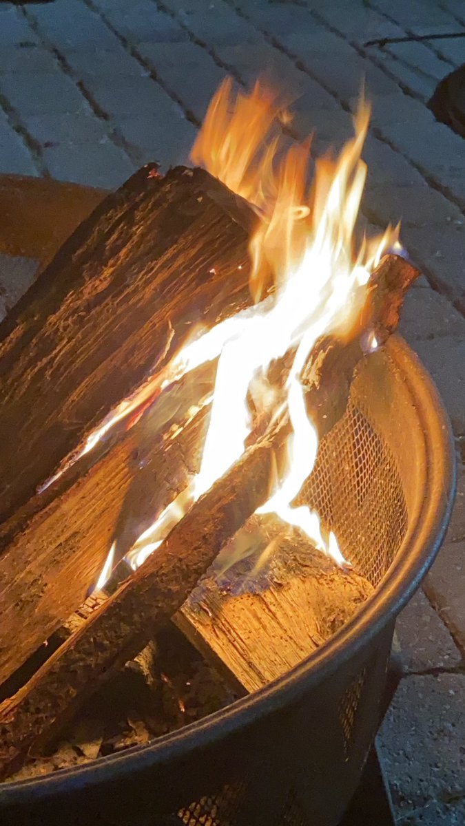 bart_peasant19's tweet photo. just lit a fire for thy dinner. hopefully i don’t fall in🐒😺 https://t.co/axXHlyGLJ1