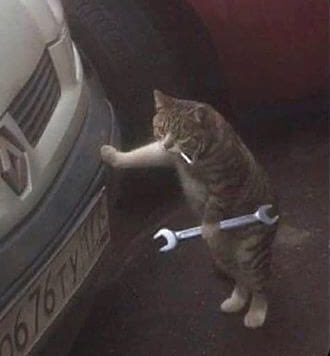 Born to cook forced to work