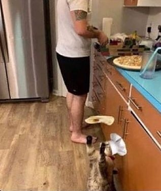 p6lars's tweet photo. Born to cook forced to work https://t.co/28yW9dCg5m