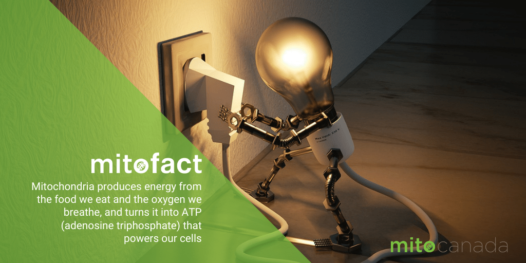 MitoCanada tweet media