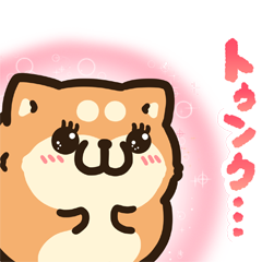 ボンレス犬と猫のtwitterイラスト検索結果