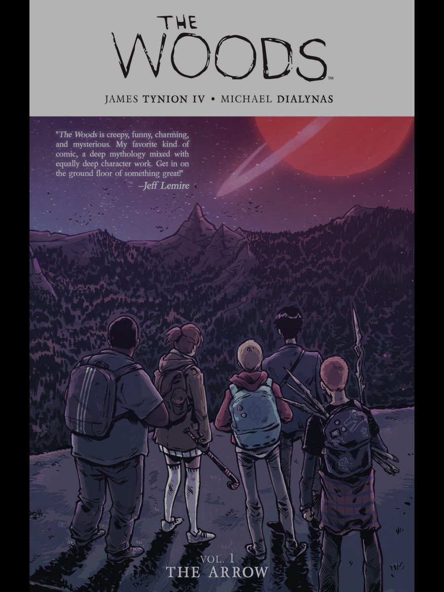 I’ve read about 1/5 of Vol 1 of The Woods and I’m enjoying it so far. Love the art style and colour palette.